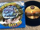 Brian Wilson CALIFORNIA CHRISTMAS FEELING Stephen Kalinich BEACH BOYS 7