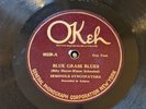 Seminole Syncopators Okeh 40228 Blue Grass Blues New Orleans Jazz 78 V+