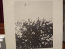 Sunday Painters: Something To Do (LP, orig 1982 Oz, mint)