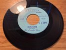 TEXAS GARAGE 45 THE LAVENDER HOUR HANG LOOSE STEFFEK 619 DJ PROMO MINT MINT