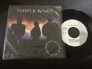 SIMPLE MINDS This Is Your Land 1989 MEXICO 7