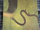 DEAD CAN DANCE - The Serpents Egg Lp 1988 4AD