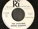 CATALINAS: banzai washout RIC 7