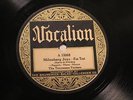 JAZZ TENNESSEE TOOTERS Milenberg JoysWhat-Cha-Call-'Em Blues VOCALION 15068 E