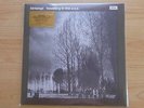 THE BINTANGS LP: TRAVELLING IN THE USA(NEU;LTD.EDT.WHITE VINYL 500COPIES;180gr)