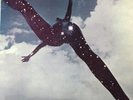 Free ,Self Titled 1969 Island pink I LP Excellent condition, Rare 1969 A1 press