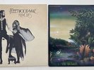Fleetwood Mac Rumours BSK 3010 & Tango in the Night 1-25471 33 RPM LP records