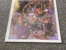 RED HOT CHILI PEPPER - Freaky Styley - Vinyl Record..