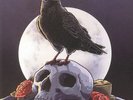 JEDI MIND TRICKS - The Funeral & The Raven - Vinyl (2xLP)