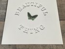 The Stone Roses Beautiful Thing 12