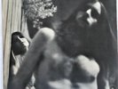 DAUGHTERS OF ALBION - NEW MINT LP - INCLUDES ALL 3 COLOR PRINTS - SEE PICS
