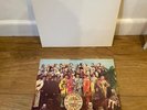 The Beatles Vinyl Pair - White Album & Sgt Peppers Lonely Hearts Club Band