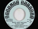 Black Gospel 45 - Hubbard Heavyweight Gospel Singers - When I Meet Mother - VG+