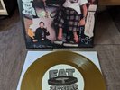 nofx vinyl single f*** the kids gold record band press limited  edition hOFX