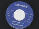 SURF EXOTICA INSTRO bw GARAGE VOCAL - RUMBLERS-  ANGRY SEA    -HEAR 1963 DOWNEY