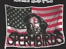 Spermbirds Common Thread (Ltd. Colored (UK IMPORT) Vinyl NEW