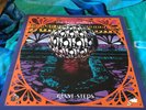 THE BOO RADLEYS - GIANT STEPS - Double Album -VG+