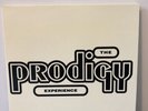 The Prodigy - Experience vinyl 2lp Gatefold 2006