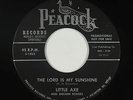 Soul Gospel 45 - Little Axe & Golden Echoes - Lord Is My Sunshine - Peacock VG++