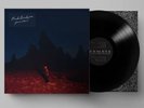 Phoebe Bridgers Punisher Limited Edition Vinyl LP & Signed AUTOGRAPHED PRESALE