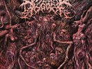 Visceral Disgorge - Ingesting Putridity LP 2019 death metal Agonia Records