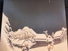 Pinkerton by Weezer (Record, 2016) Please Read