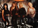 Vixen - Rev It Up LP (Vinyl)  Rare, OOP