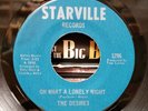 The Desires - Oh What A Lonely Night/Black Girl - Starville 45 VG+ SWEET SOUL