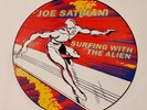 JOE SATRIANI 'Surfing With the Alien' PICTURE DISC LP  Thirty Five Years Old