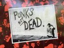 EXPLOITED Punks Not Dead LP Vinyl Record Album 1st Pressing Secret SEC 1 - 1981