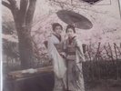 THE SMASHING PUMPKINS : LIVE AT KAWASAKI LIVE DOUBLE ALBUM PURPLE