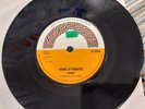 Trammy Horns Of Paradise  Reggae 7