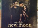 Twilight Saga New Moon Original Motion Picture Soundtrack 2 LP Vinyl Records