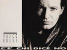 Vasco Rossi - C'È Chi Dice No (LP, Album)