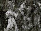 Mark Lanegan & Duke Gar... With Animals (UK IMPORT) VINYL LP NEW