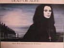 Dead Or Alive Mad Bad & Dangerous To Know Australia pressing 12'' vinyl Lp 1986