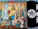 FLESH D-VICE Secrets Of The Estranged LP NEW ZEALAND 80s PUNK Clean Bats Dwarfs