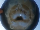 LISTEN  LUCIO BATTISTI - HEY RAGAZZO - UNIQUE GEORGIAN USSR X-RAY SKULL RECORD