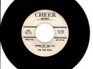 THE FIVE DISCS-NEVER LET YOU GO VG++ ROCK AND ROLL DOO-WOP NEVER SAW THIS