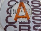 MASSIMO RANIERI   -   GOODBYE MY LOVE   -   (DEMO/PROMO)   -  UK CBS 7207 (1971)