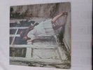 Violent Femmes self titled on Slash Records 1983