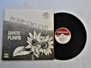 WHITE PLAINS   MY BABY LOVES LOVIN'   PROMO LP