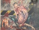 CANNIBAL CORPSE Bloodthirst LP 180g vinyl NEW SEALED