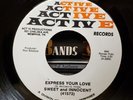 Sweet And Innocent - Express Your Love - Active 45 VG/VG+ SWEET SOUL