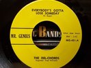 The Del-Chords - Everybody's Gotta Lose Someday Mr.Genius 45 VG+ N.SOUL/DOO-WOP