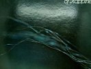 Natural Essence  Lp - In Search of Happiness - (NM) Promo Lp Fantasy 1973