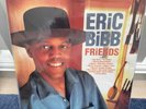 Audiophile 180g 2-LP Eric Bibb 'Friends' Pure Pleasure Records NM Gatefold
