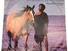 Whitney Houston How Will I Know 12” 45RPM Vinyl Record MaxiSingle X-14167 Arista