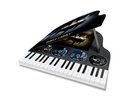 JOHNNY HALLYDAY Bercy 2003  Coffret Piano Édition limitée et numérotée NEUF