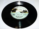 Tony Scott 1969 UK Escort 45 What am I to do EX